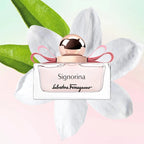 Signorina Apa De Parfum 100ml