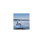 Eau Des Merveilles Bleue Apa De Toaleta 50ml