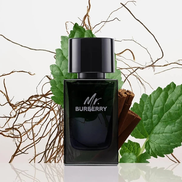 Mr. Burberry Apa De Parfum 100ml