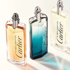 Declaration Parfum 100ml