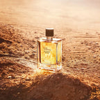 Terre D'Hermes Eau Intense Vetiver Apa De Parfum 100ml