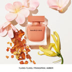 Ambree Apa De Parfum 90ml