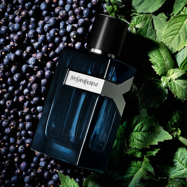 Y Intense Apa De Parfum 100ml