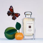 Lime Basil & Mandarin Apa De Colonie 100ml