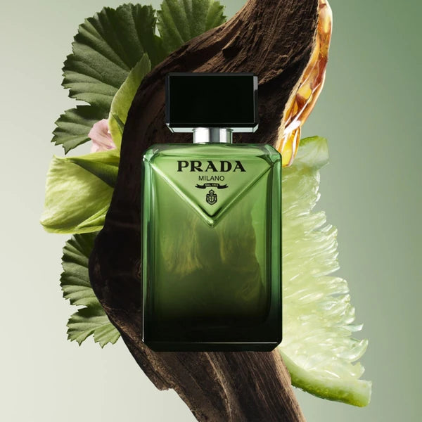 Paradigme Apa De Parfum 50ml