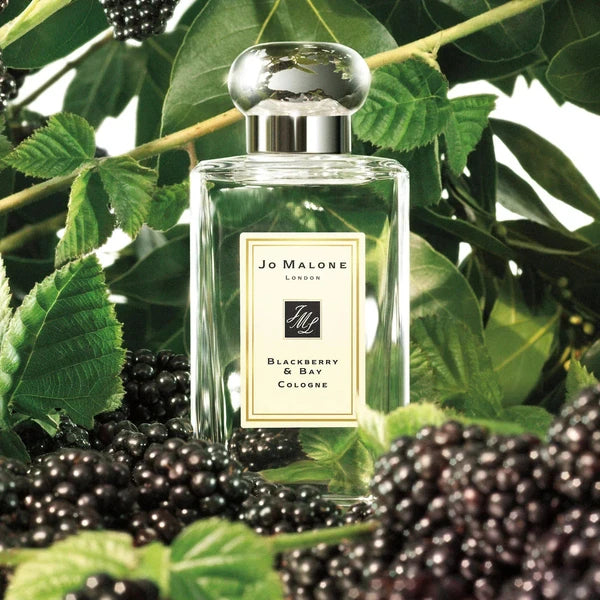 Blackberry & Bay Apa De Colonie 100ml