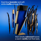 Bad Boy Cobalt Absolute Apa De Parfum 100ml
